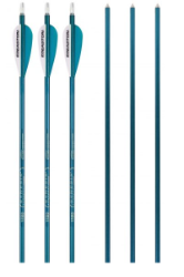 GENESIS 1820 ARROWS 